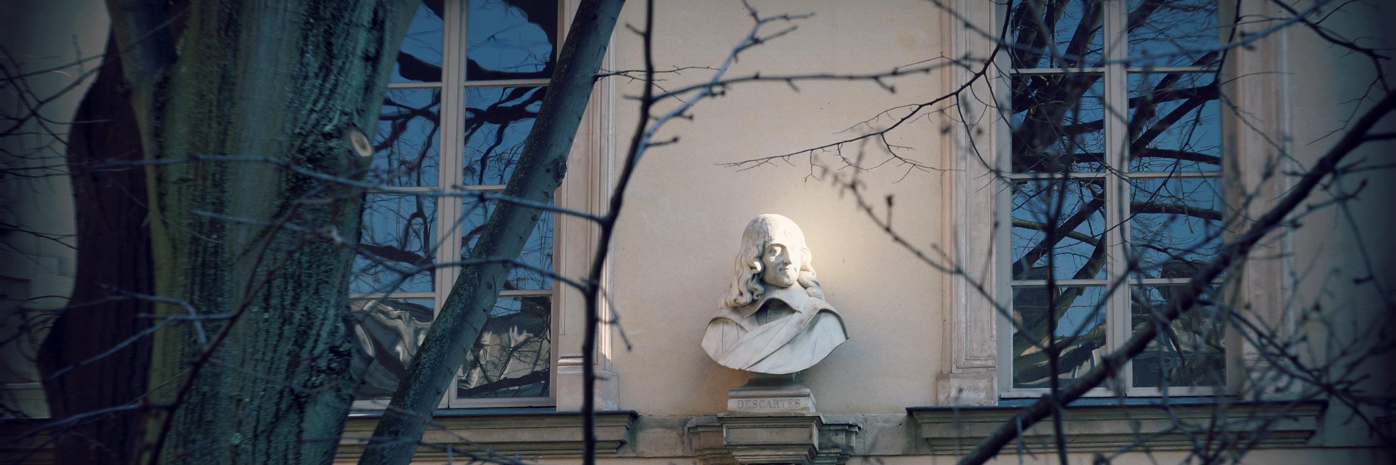 V_Prouvost's profile banner image