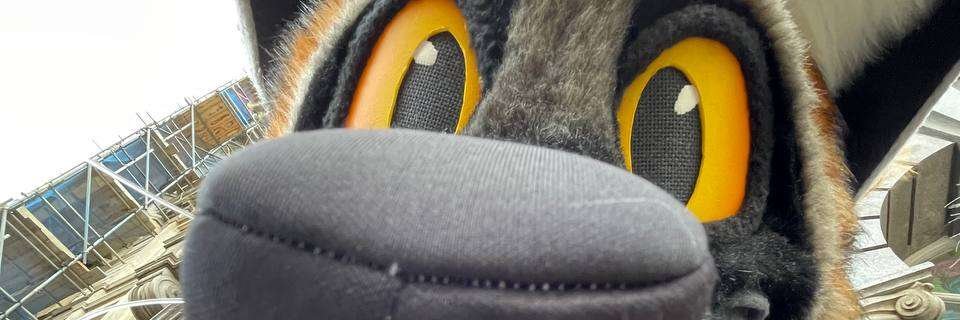 Luiazure's profile banner image