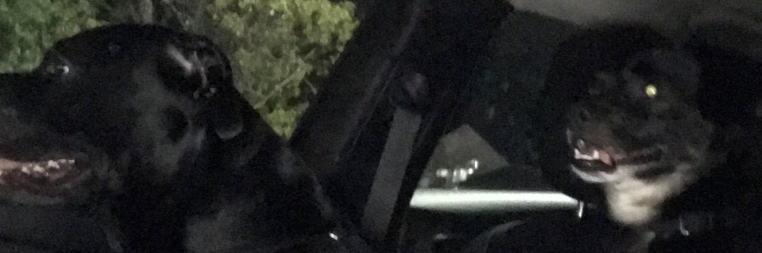 DBustos21's profile banner image