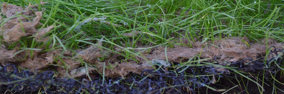 _ECTM_'s profile banner image