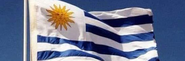 ricpei Profile Banner