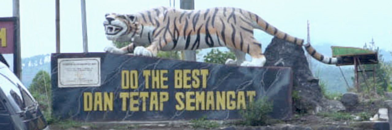 Elena Williams banner