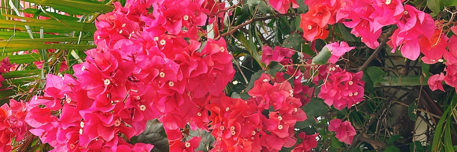 emigon0602's profile banner image