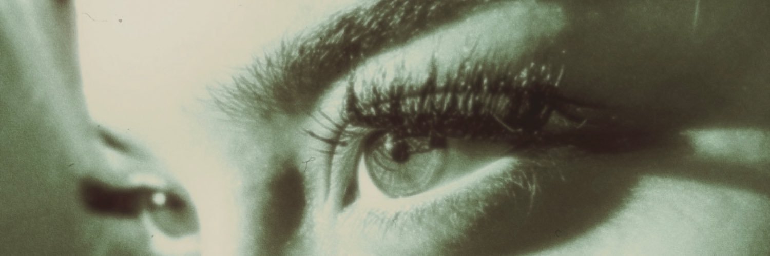 delfincebell's profile banner image