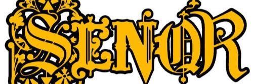 SENOR_dancer's profile banner image