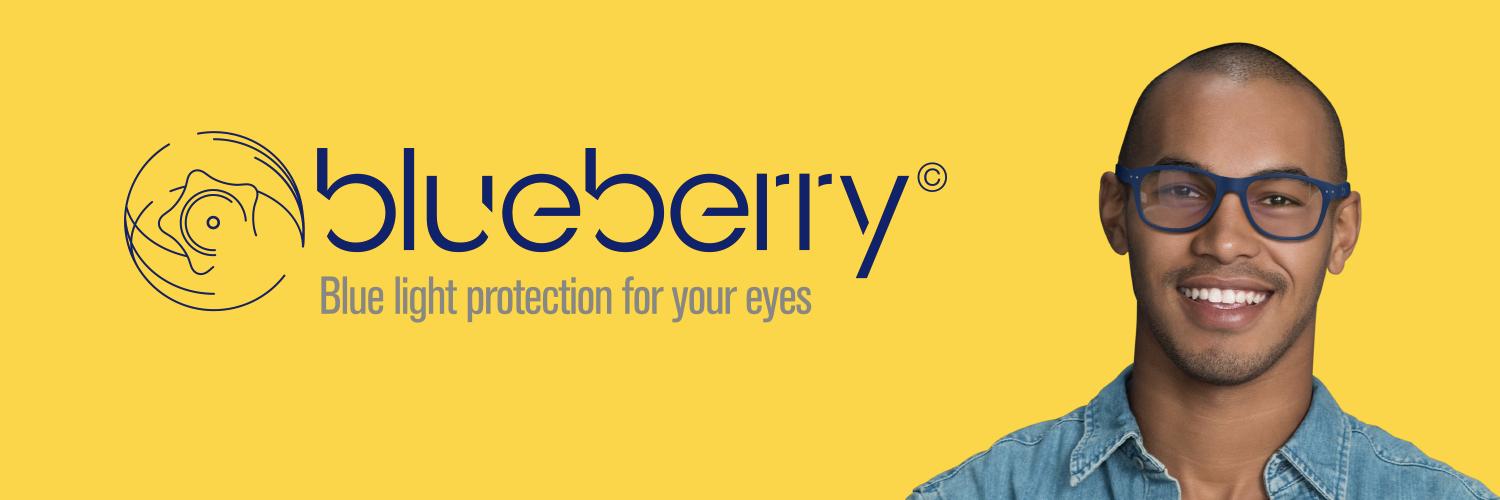Blueberry banner