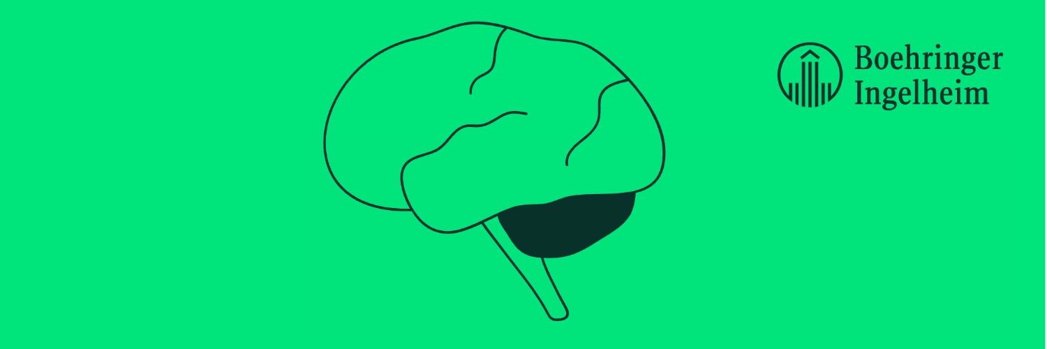 🍊Amir Dehsarvi banner