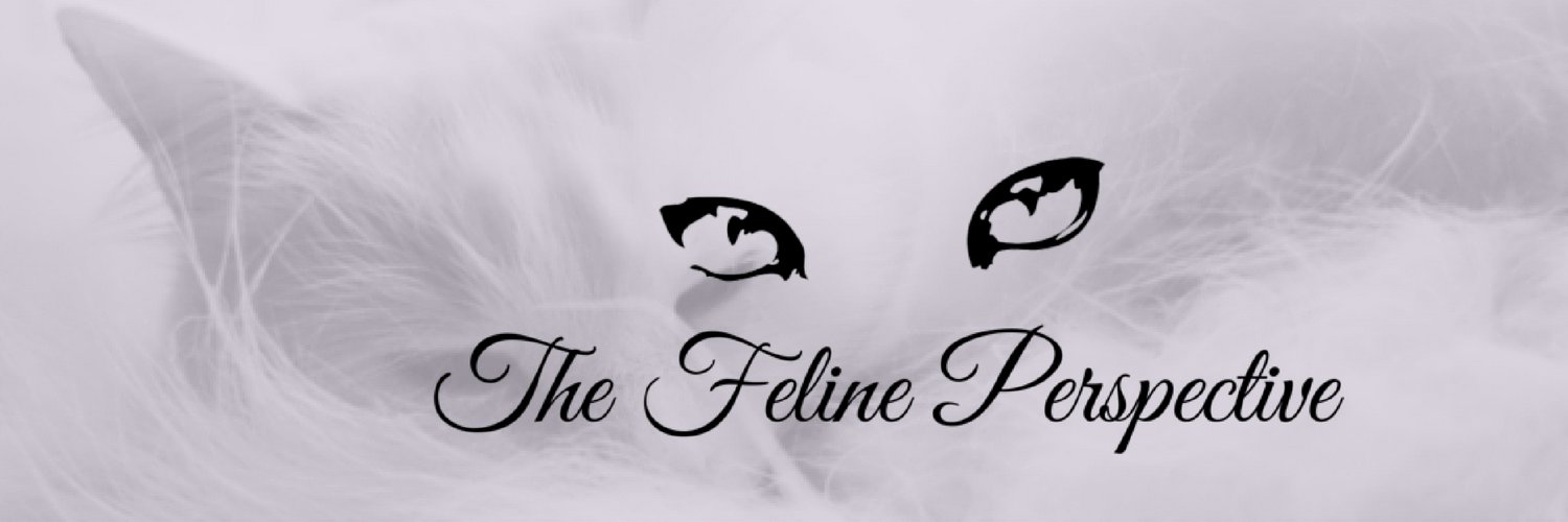 TheFelinePov's profile banner image