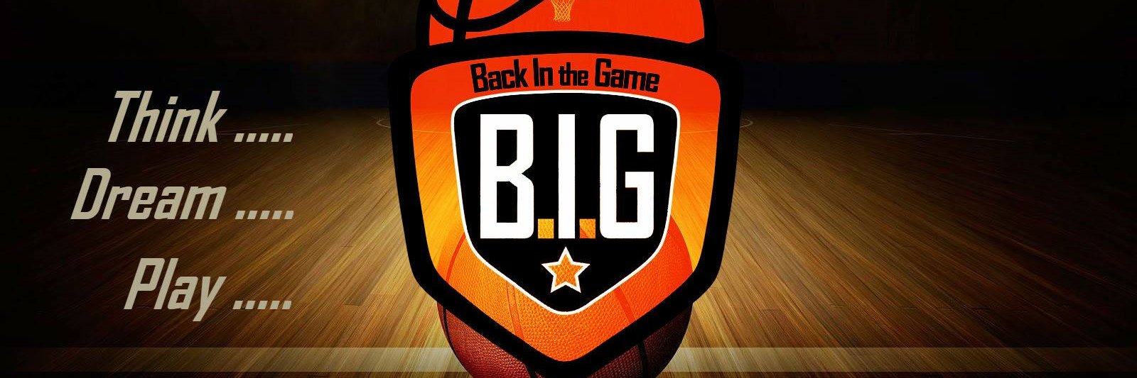 BackInTheGamegr's profile banner image