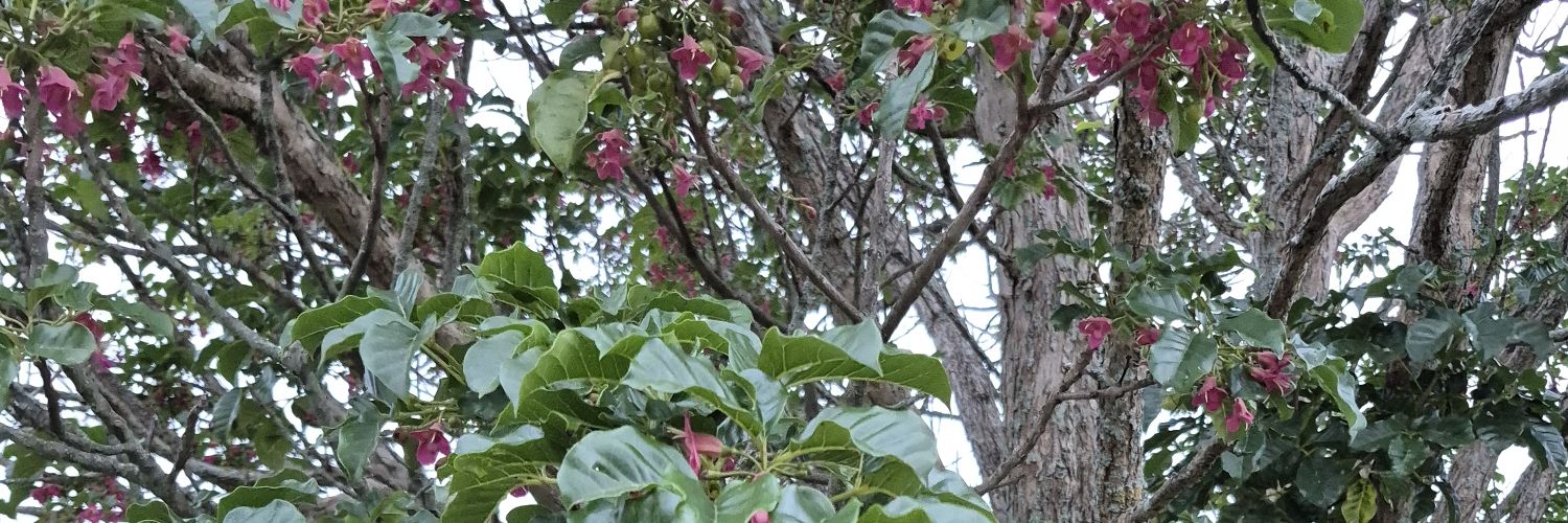 smur108's profile banner image