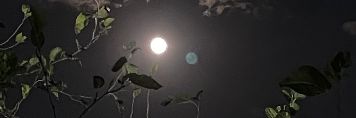 PincheAmanda09's profile banner image