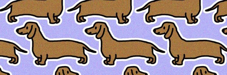 girlafraid___'s profile banner image