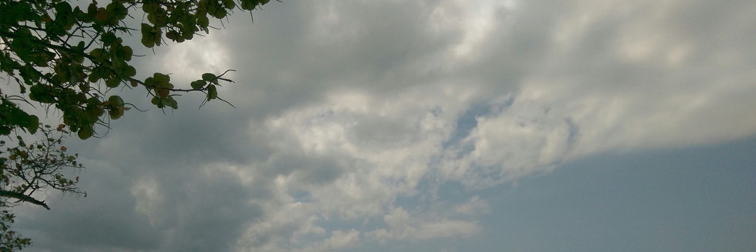 laformcait's profile banner image