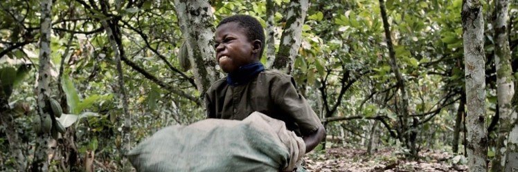 CACAO FOR CHANGE banner