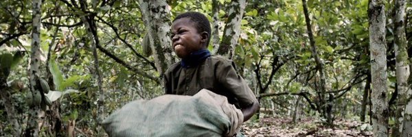 CacaoForChange Profile Banner