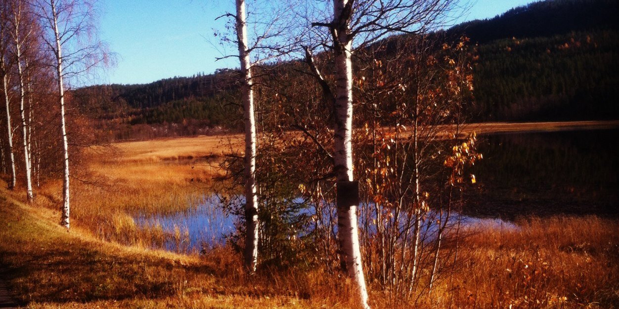 jarlejohansen1's profile banner image
