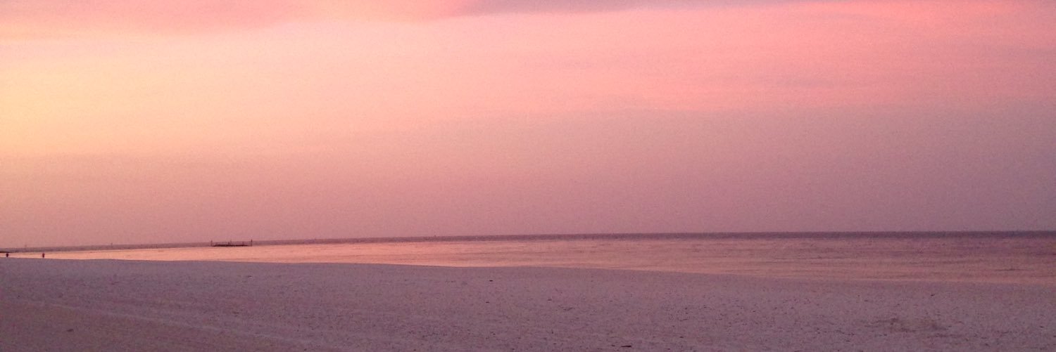 DoctorAltieri's profile banner image