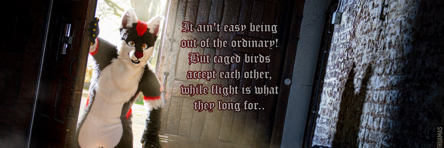 ZannakTheFox's profile banner image