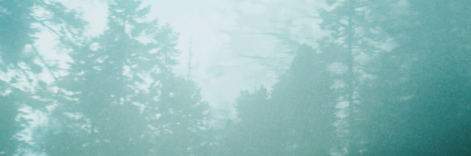 Fernanda Becerril's banner