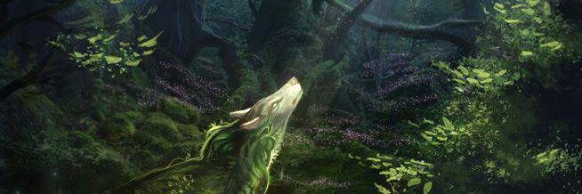 wikifantasy_'s profile banner image