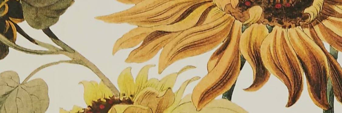 thing1982's profile banner image