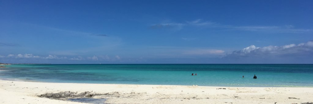 annabruno21's profile banner image