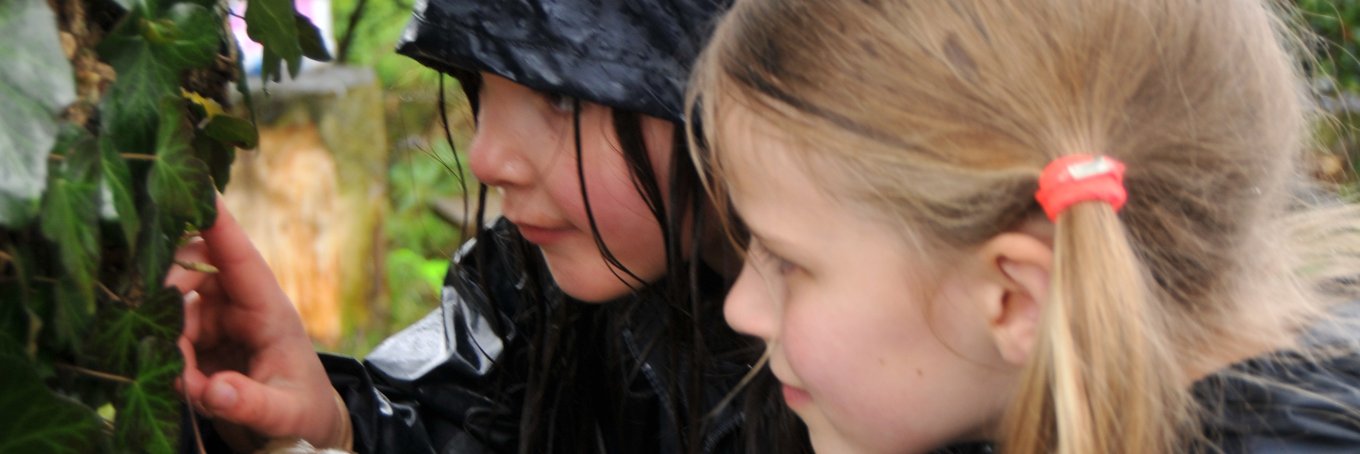USL Primary School banner