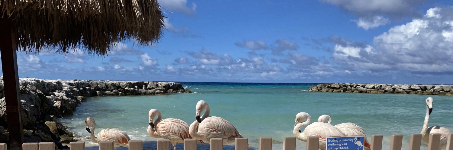 Susy Montague banner