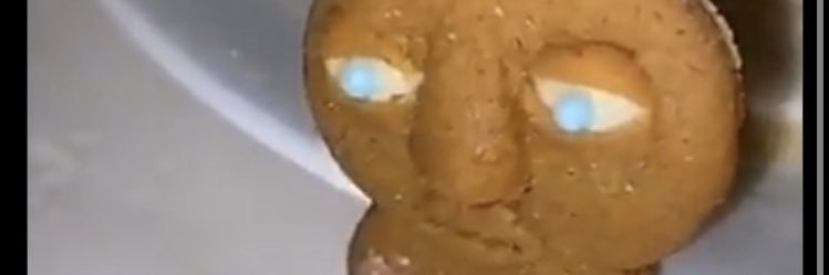EpsteinResorts's profile banner image