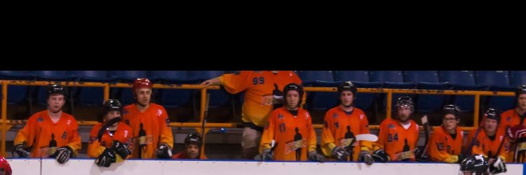 Raiders Ball Hockey banner