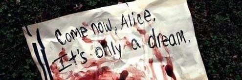 AliceWanderslut's profile banner image