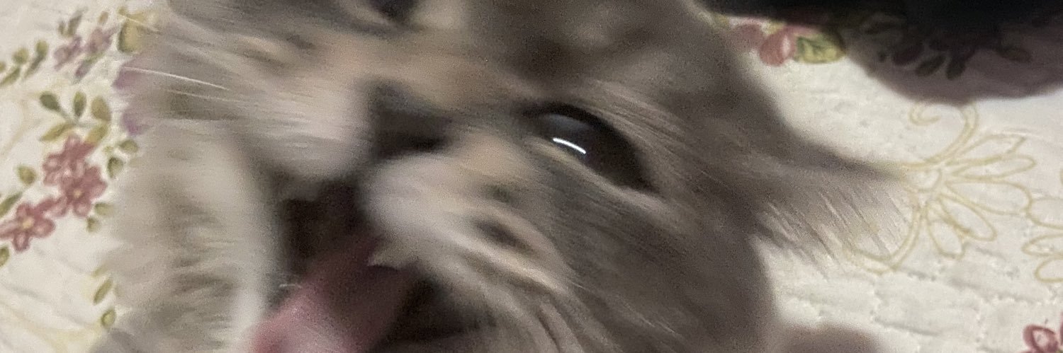 beamgomess's profile banner image