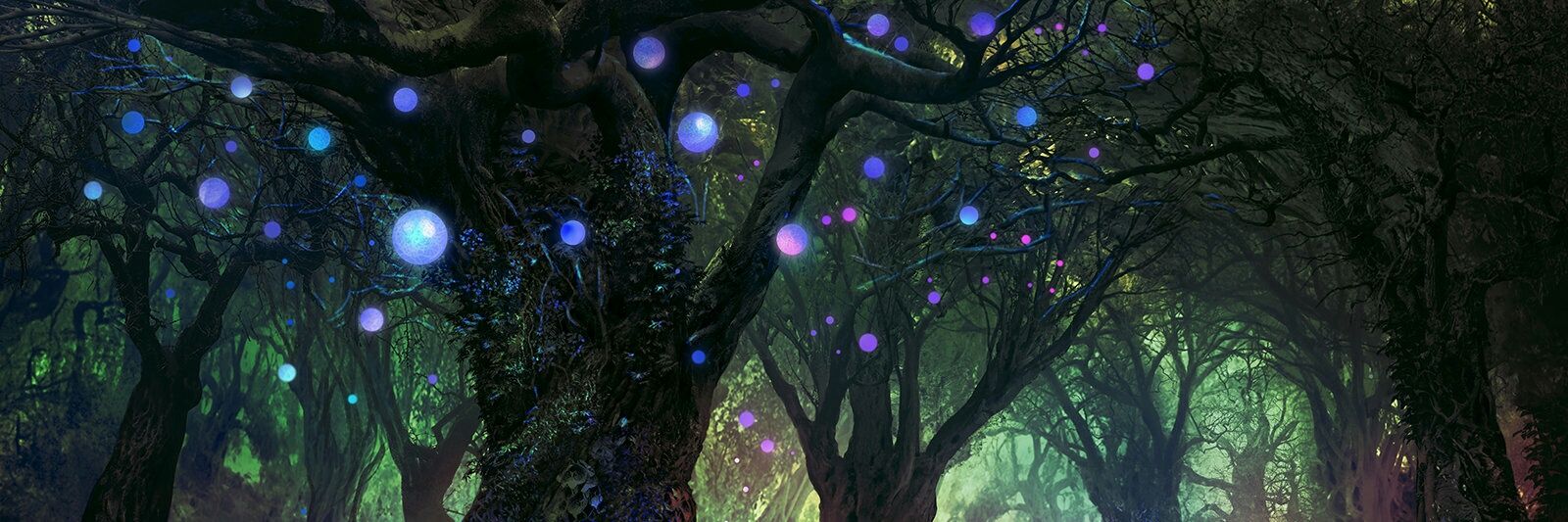 shaynaelora's profile banner image