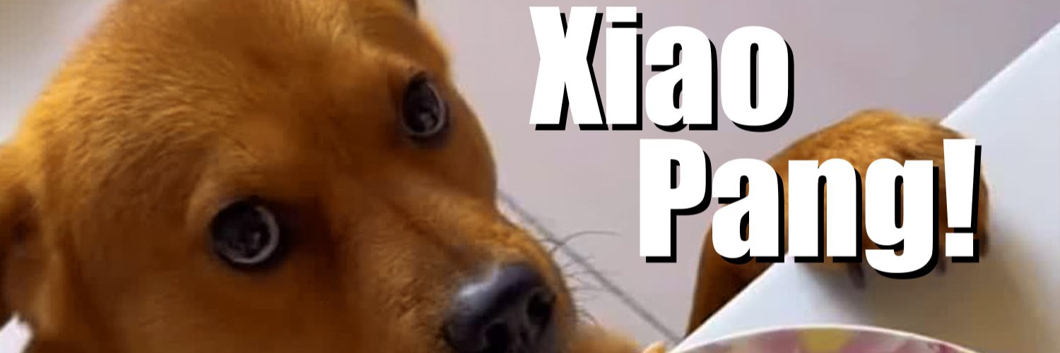 NeuroBrainMind's profile banner image