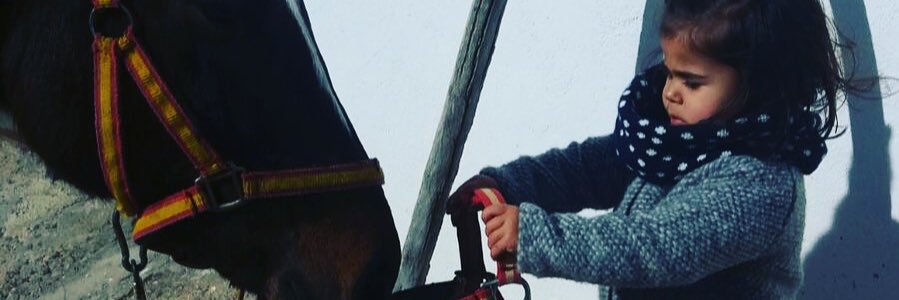 sheyla_burgo's profile banner image