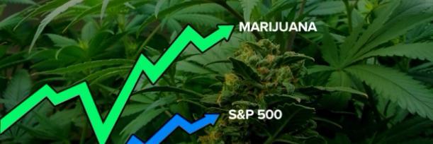 BluntChatter's profile banner image