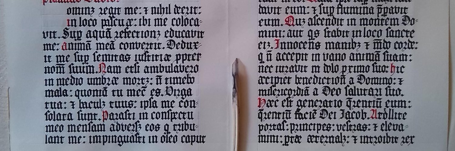 Rombrecht's profile banner image