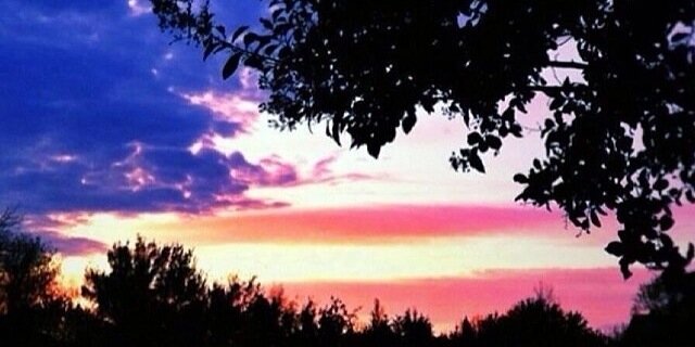 Bridgeyeahdawg's profile banner image