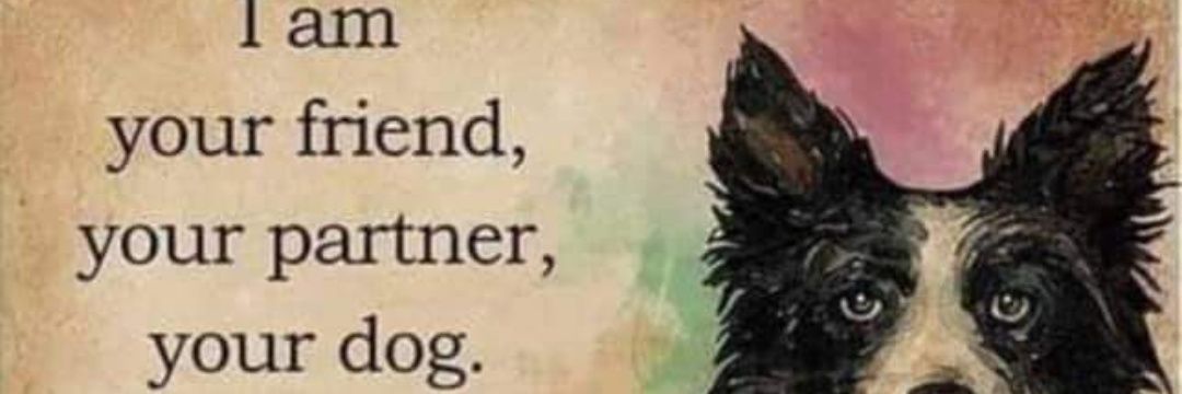 Long live a free Venezuela, free from communism. banner