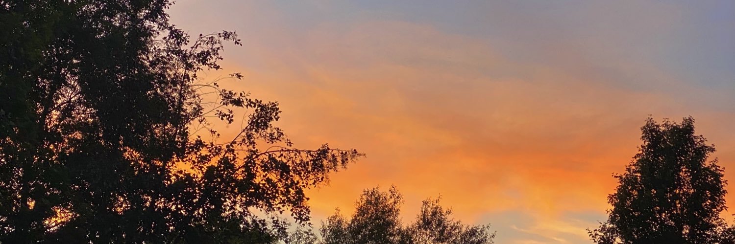 ChloeVictoria9_'s profile banner image