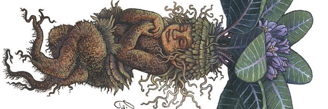 IVladislava's profile banner image