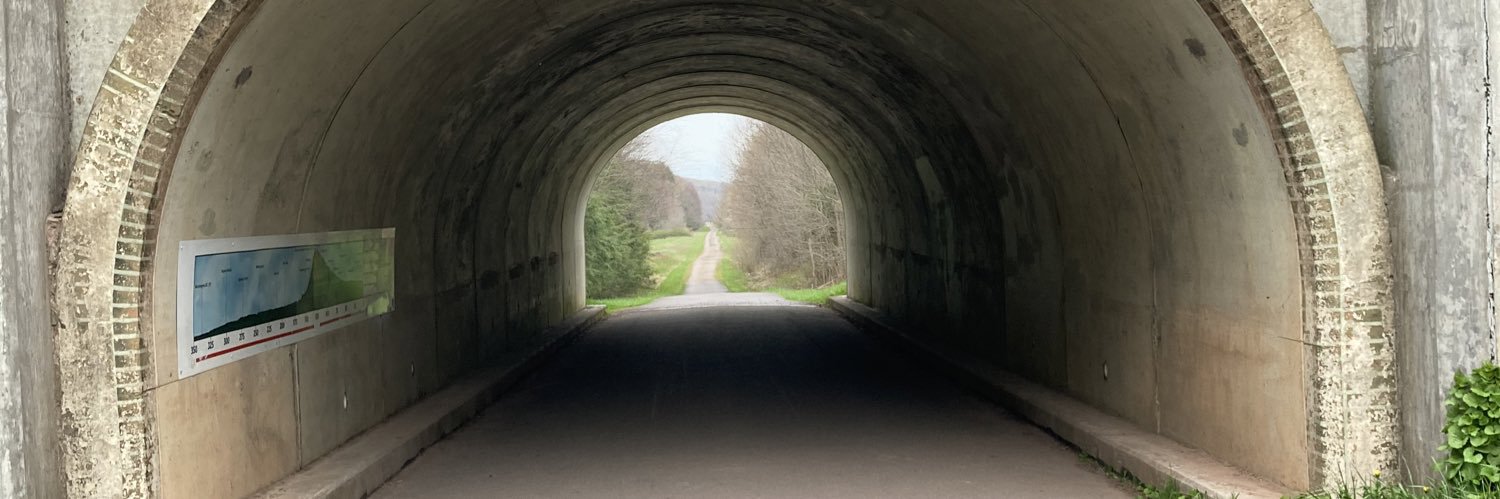 Whosentya🥸🧐🫶🏾 banner