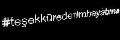 Seda NAZ banner