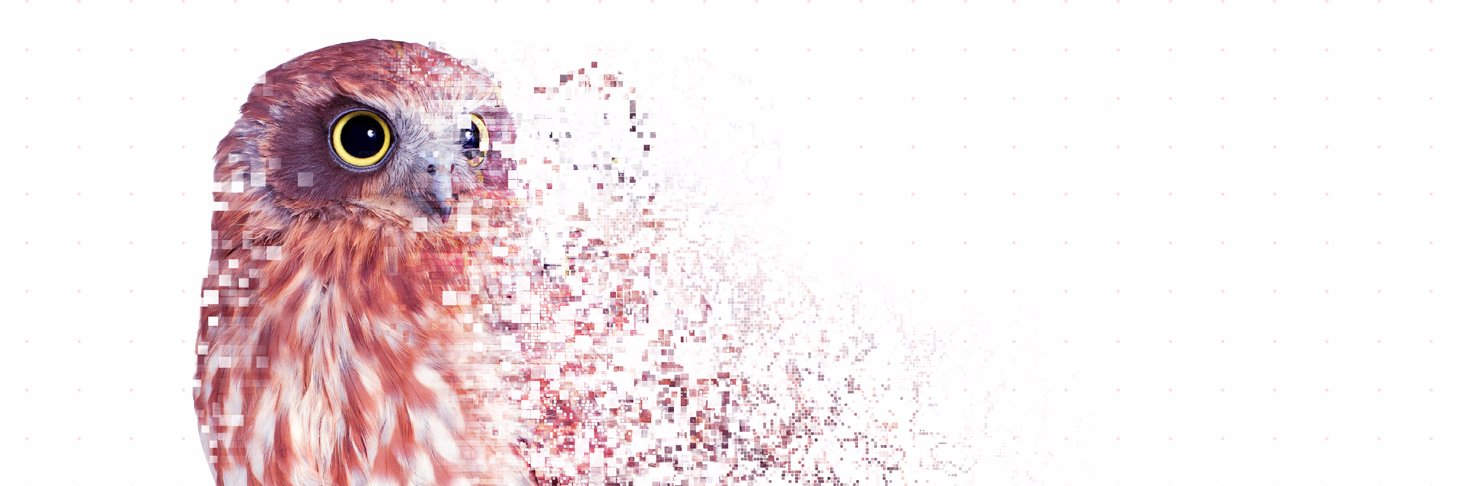 boobook_world's profile banner image