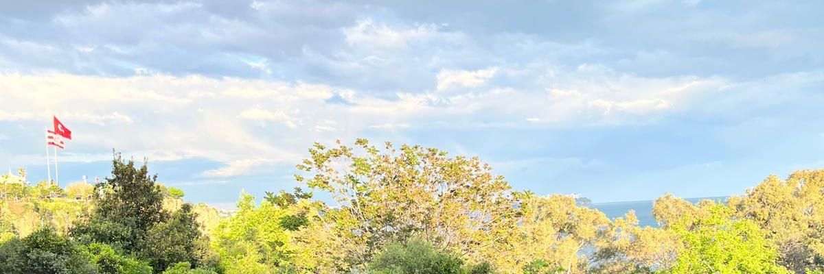 oqiadanaliii's profile banner image