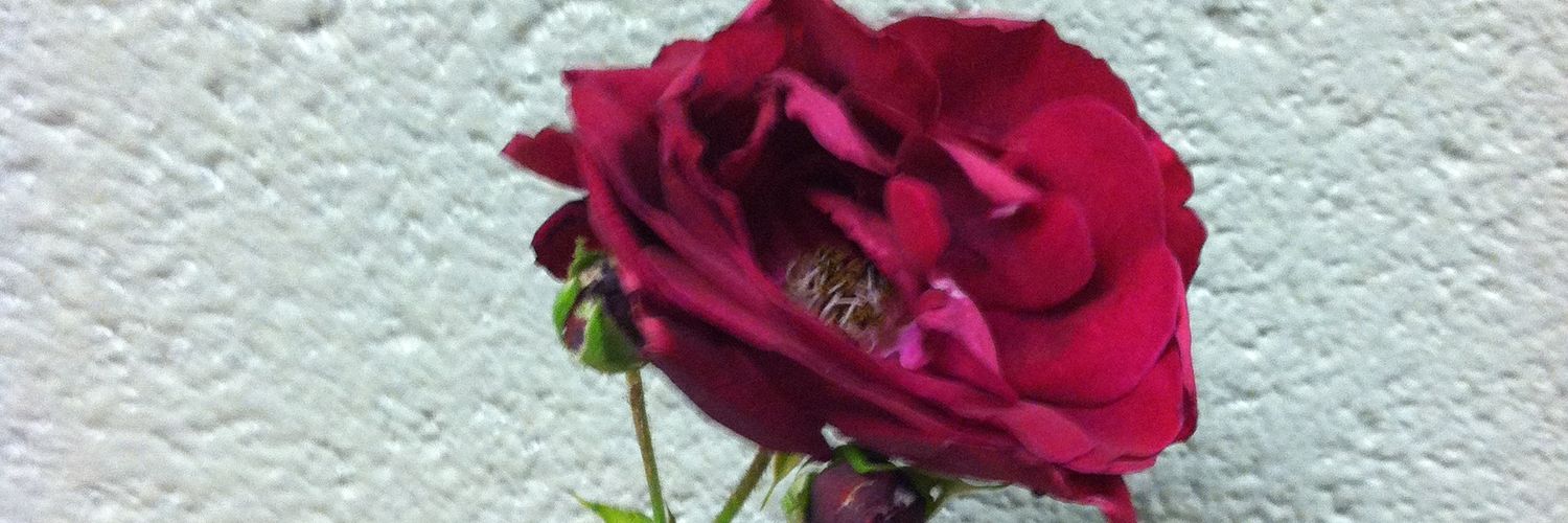 A Joyful Educator banner