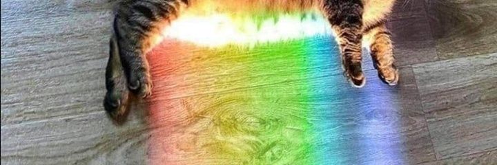 baeverolove's profile banner image