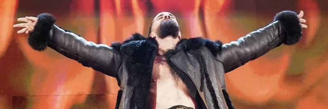 RollinsForevur's profile banner image