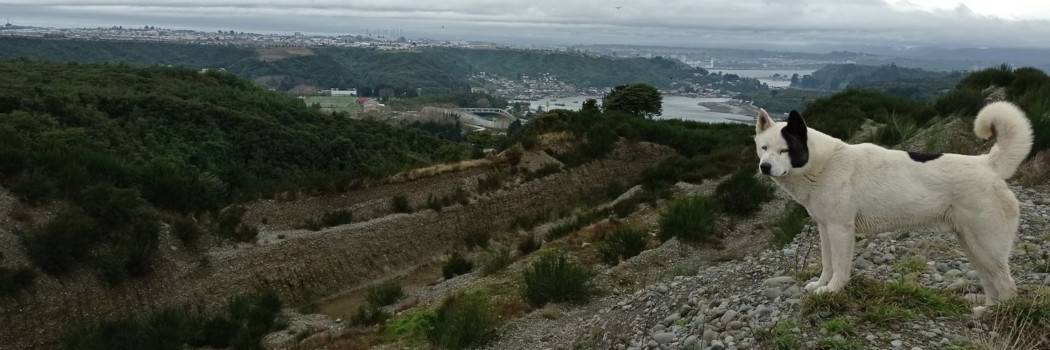 deftson's profile banner image