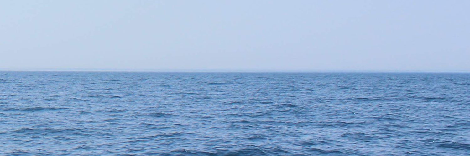 28martasousa's profile banner image